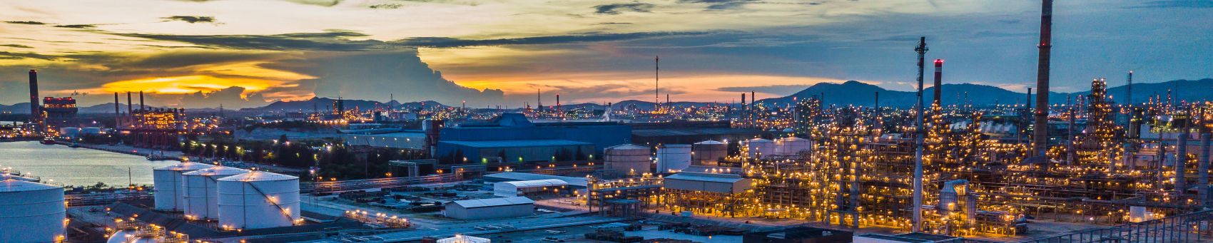 슬롯 꽁 머니 플랜트