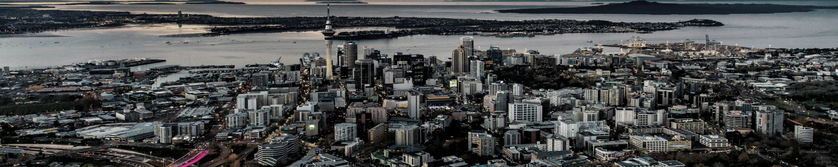 온라인 카지노 슬롯 및 인프라