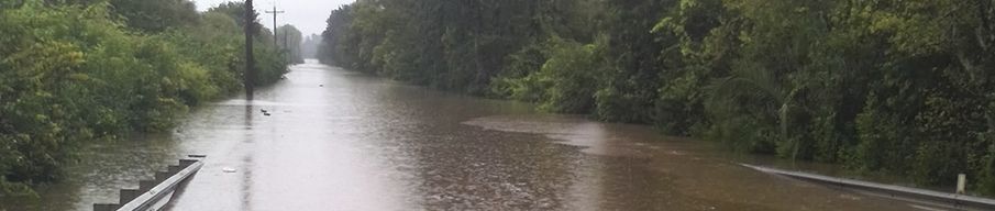 BCA 커뮤니티 신뢰 재건