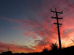 온라인슬롯사이트가 WEL 네트워크 계약을 확보함