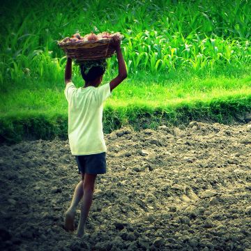 현대판 노예 제도