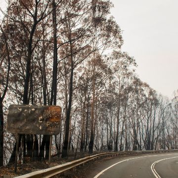 커뮤니티의 신뢰 회복