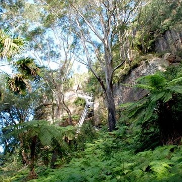 카지노 슬롯 머신 게임 보호 라이센스