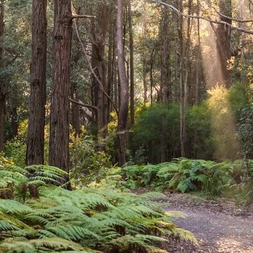 오염 사고 관리 계획
