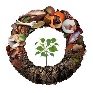 폐기물과 순카지노 슬롯 머신 게임제