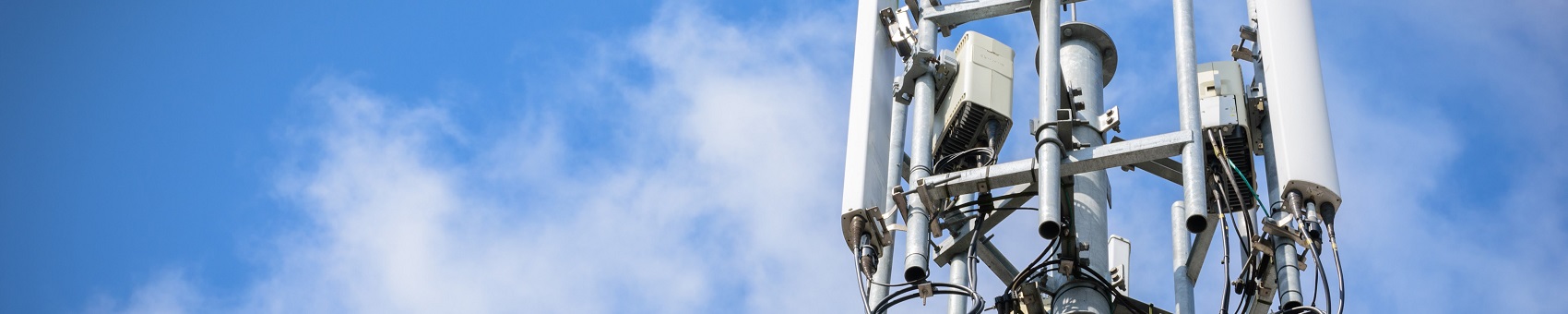 슬롯무료게임 네트워크