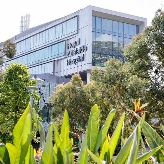 범위와 규모 포함 범위와 규모 포함